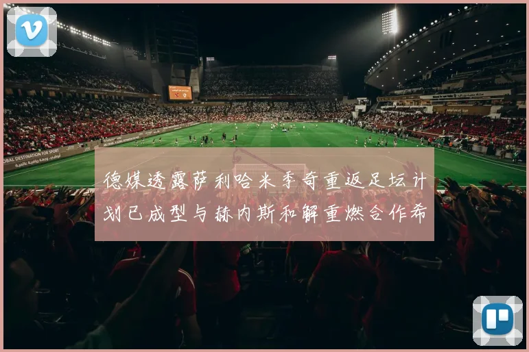 德媒透露萨利哈米季奇重返足坛计划已成型与赫内斯和解重燃合作希望