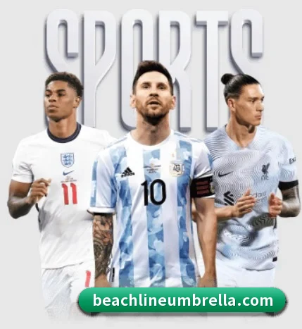 五大服务分区,信息按项目分类
